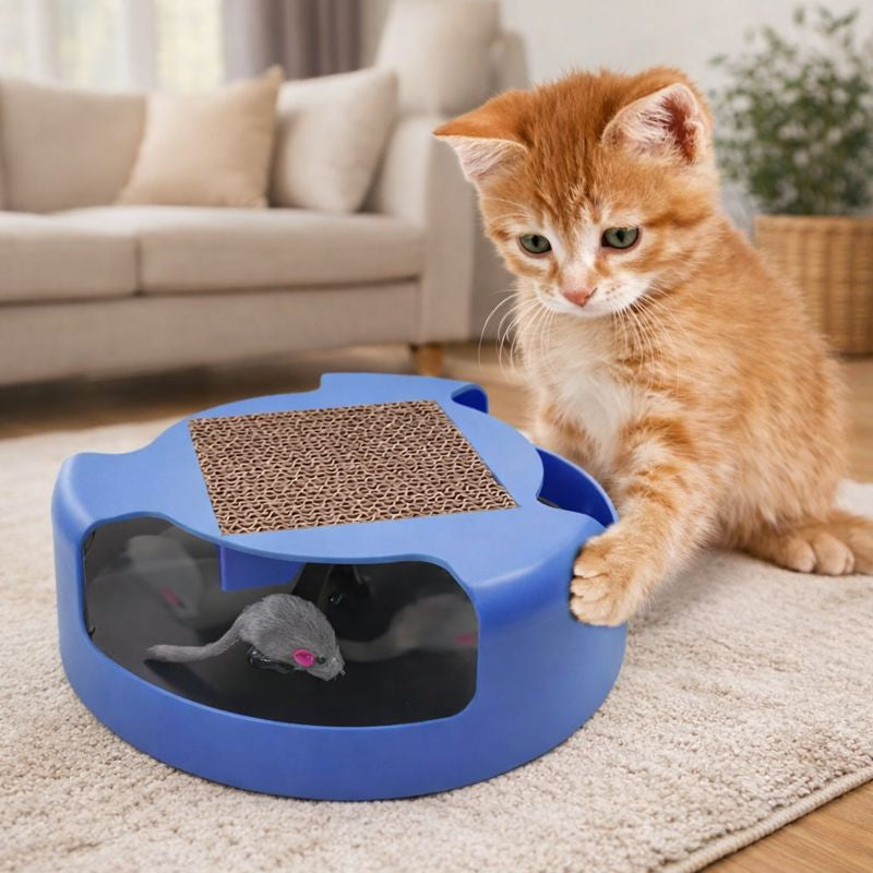 JUGUETE INTERACTIVO CON RASCADOR GATO