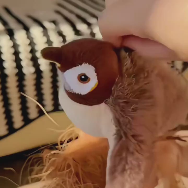 pajaro Eléctrico para gatos aletea