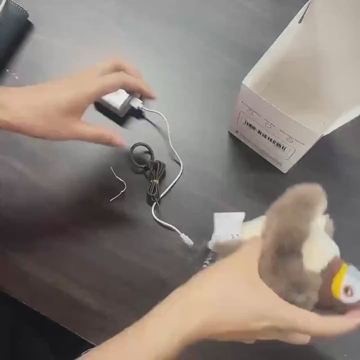 pajaro Eléctrico para gatos aletea